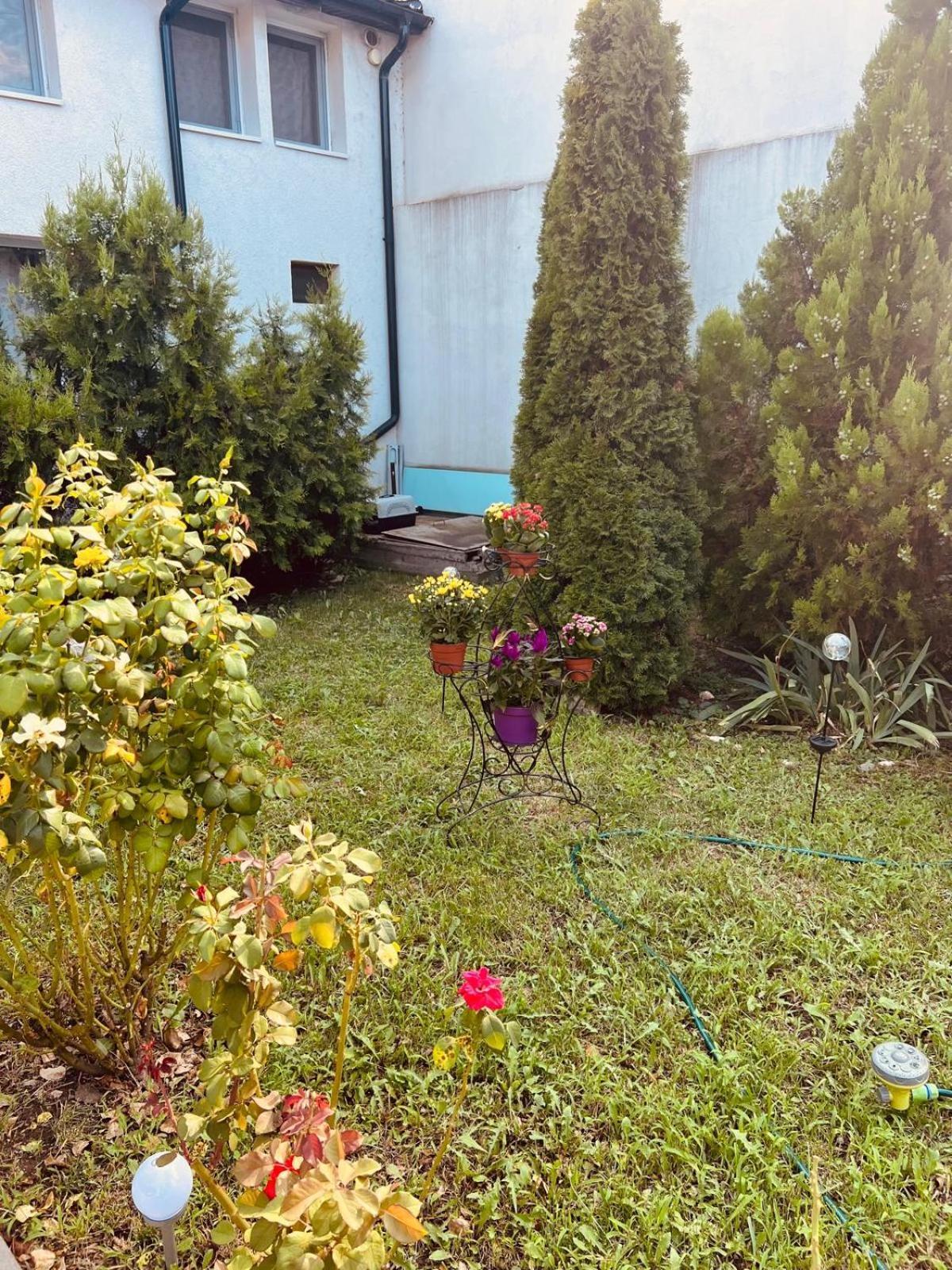 B&B Maria Bukareszt Zewnętrze zdjęcie